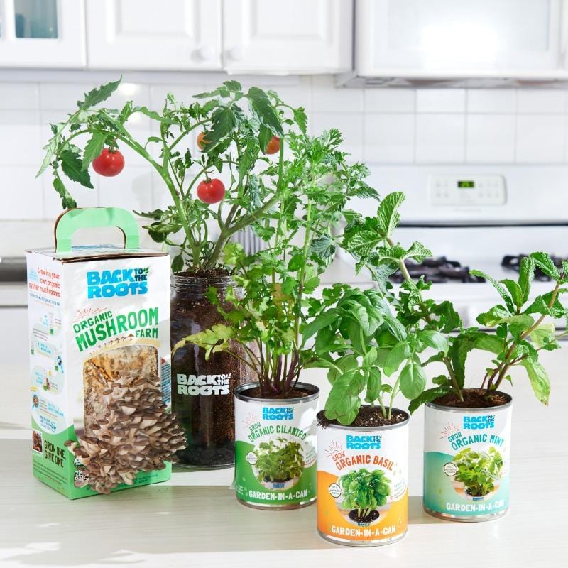 The Indoor Gardening Essentials - Herb, Veggies and Mushrooms 6-Plant Bundle (Save $20)